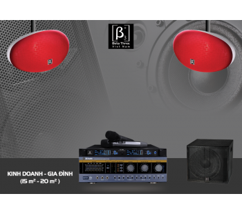 Combo 4 